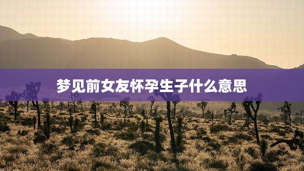 梦见前女友怀孕生子什么意思