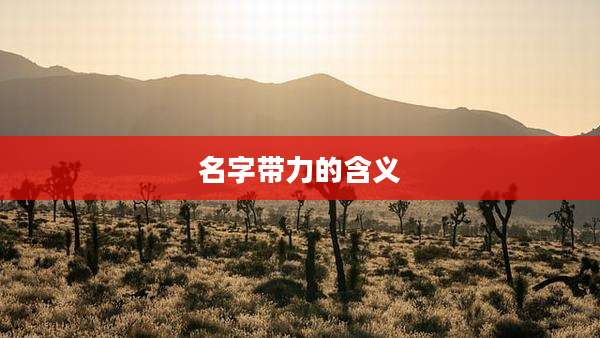 名字带力的含义