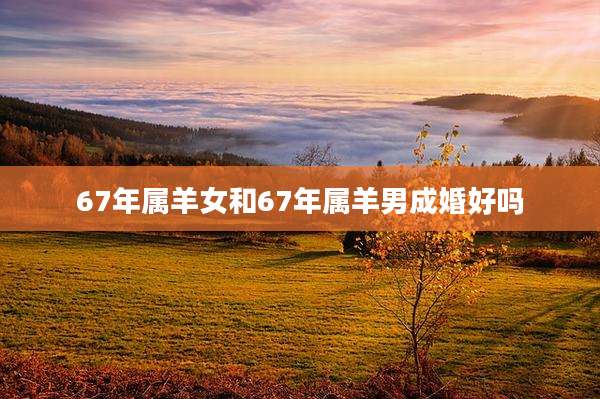 67年属羊女和67年属羊男成婚好吗