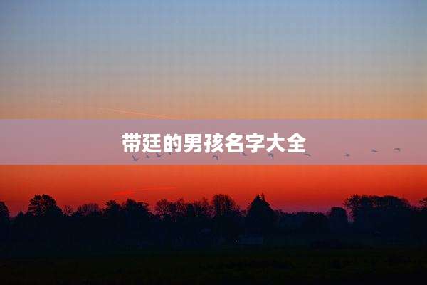 带廷的男孩名字大全