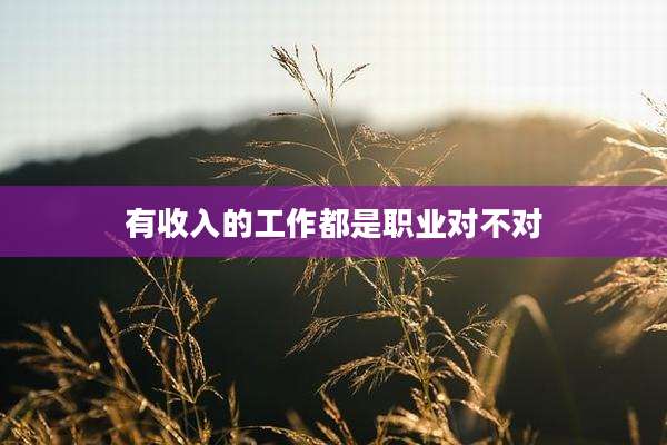 有收入的工作都是职业对不对