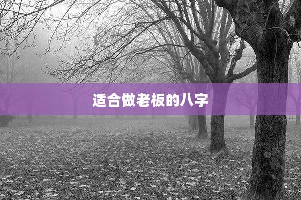 适合做老板的八字
