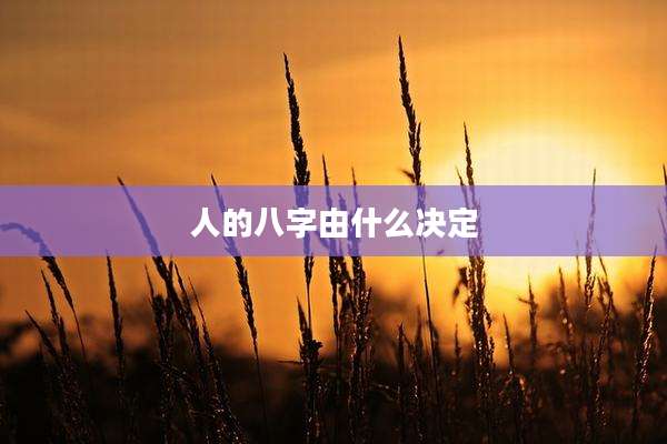 人的八字由什么决定