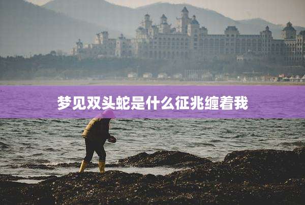 梦见双头蛇是什么征兆缠着我