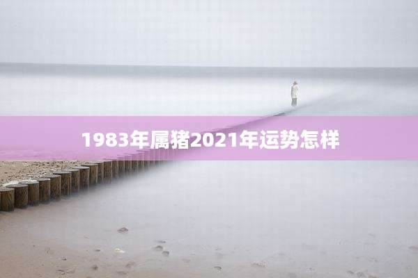1983年属猪2021年运势怎样