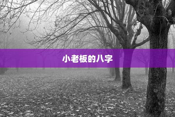 小老板的八字