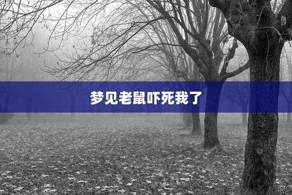 梦见老鼠吓死我了