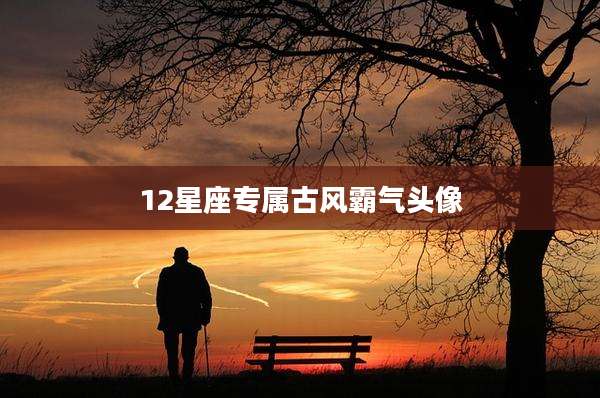 12星座专属古风霸气头像