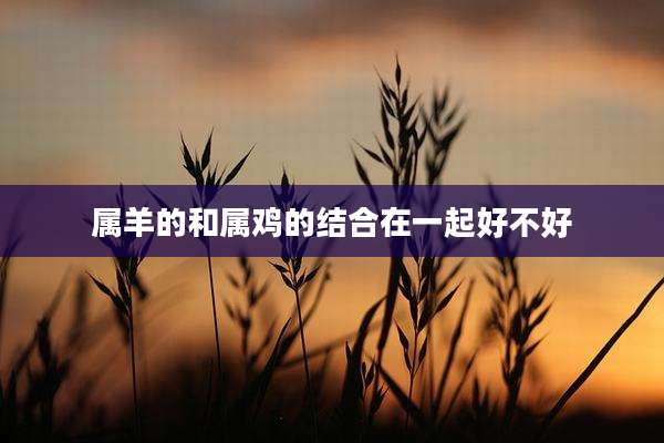 属羊的和属鸡的结合在一起好不好