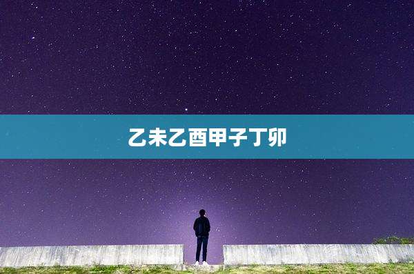 乙未乙酉甲子丁卯