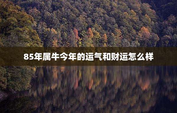 85年属牛今年的运气和财运怎么样