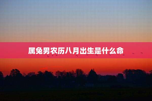 属兔男农历八月出生是什么命