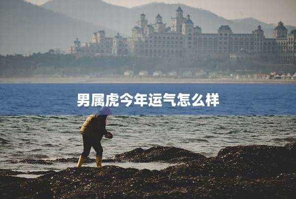 男属虎今年运气怎么样