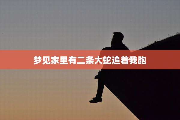 梦见家里有二条大蛇追着我跑