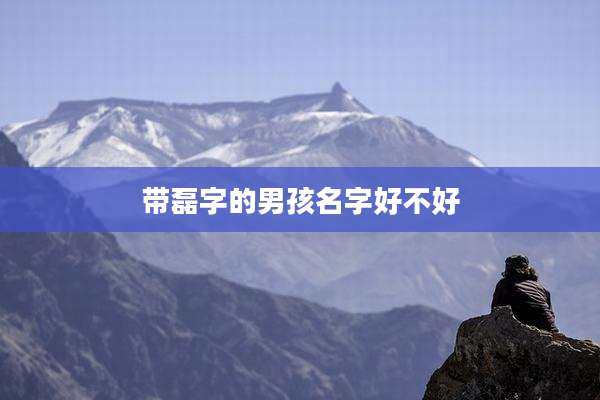 带磊字的男孩名字好不好