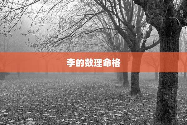 李的数理命格