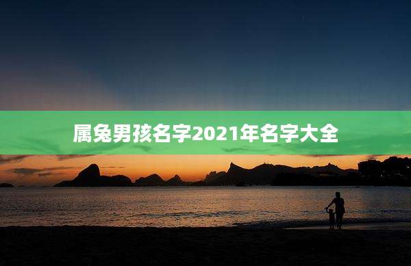 属兔男孩名字2021年名字大全