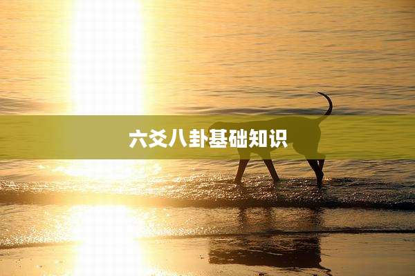 六爻八卦基础知识