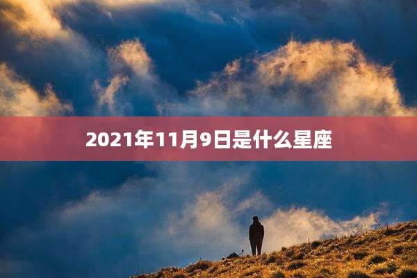 2021年11月9日是什么星座