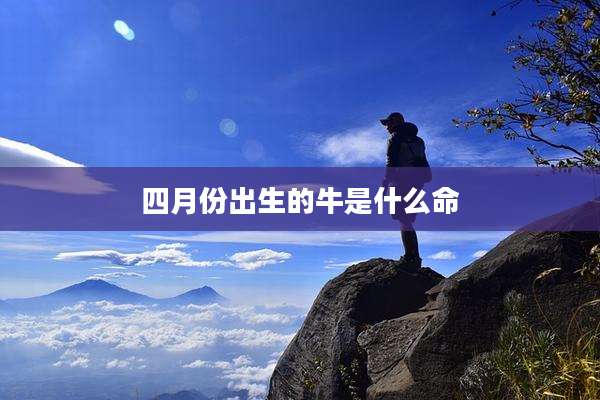 四月份出生的牛是什么命