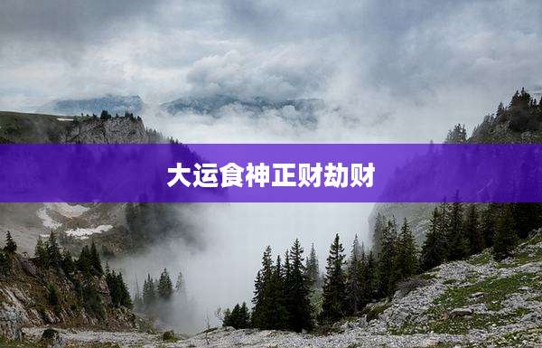 大运食神正财劫财