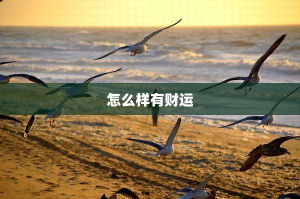 怎么样有财运