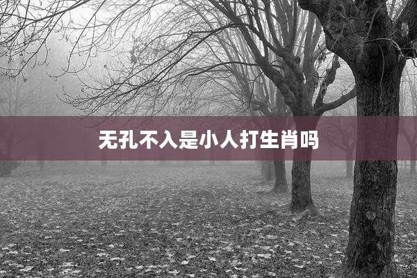 无孔不入是小人打生肖吗