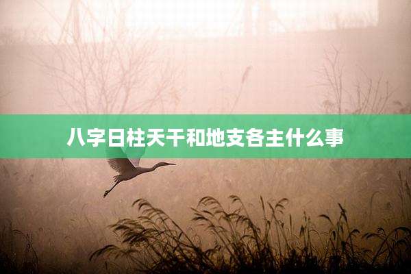八字日柱天干和地支各主什么事