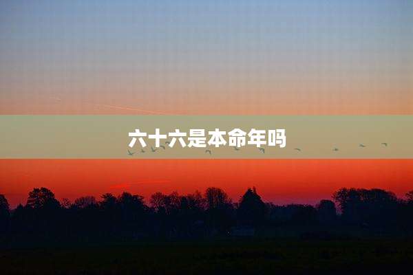 六十六是本命年吗