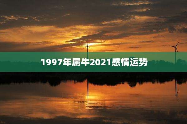 1997年属牛2021感情运势