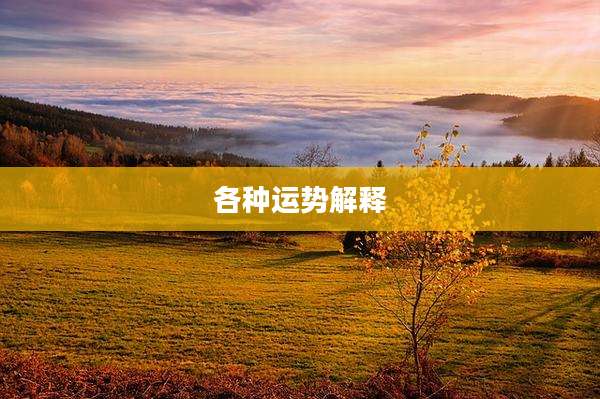各种运势解释