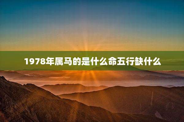 1978年属马的是什么命五行缺什么