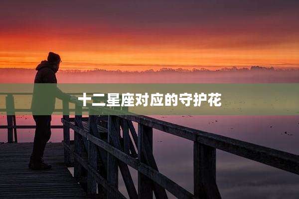 十二星座对应的守护花