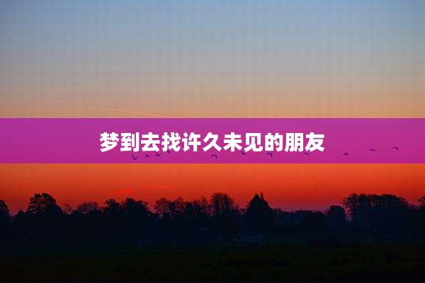 梦到去找许久未见的朋友