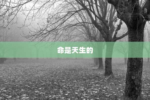 命是天生的