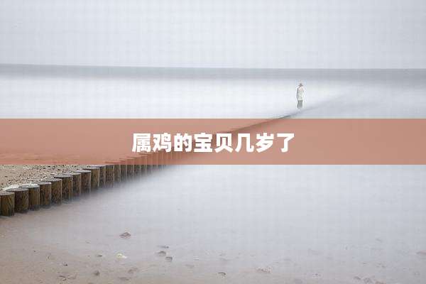 属鸡的宝贝几岁了