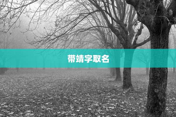 带靖字取名