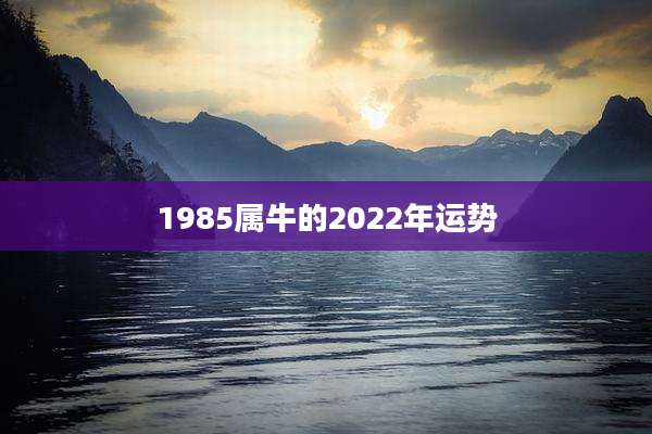 1985属牛的2022年运势