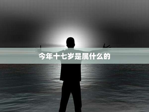 今年十七岁是属什么的