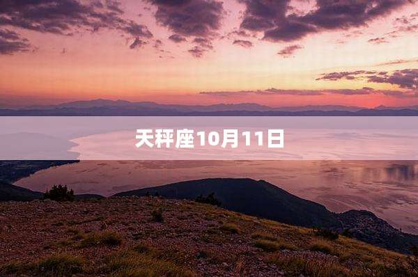 天秤座10月11日
