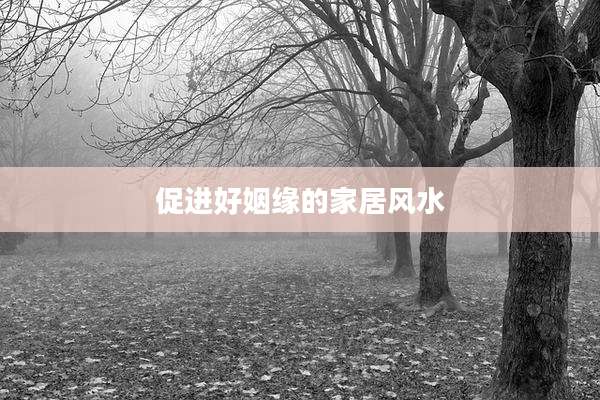 促进好姻缘的家居风水