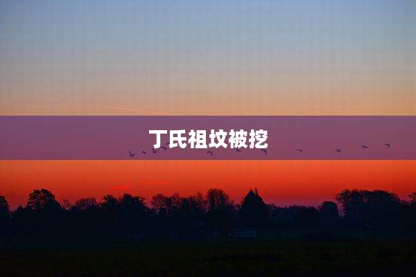 丁氏祖坟被挖