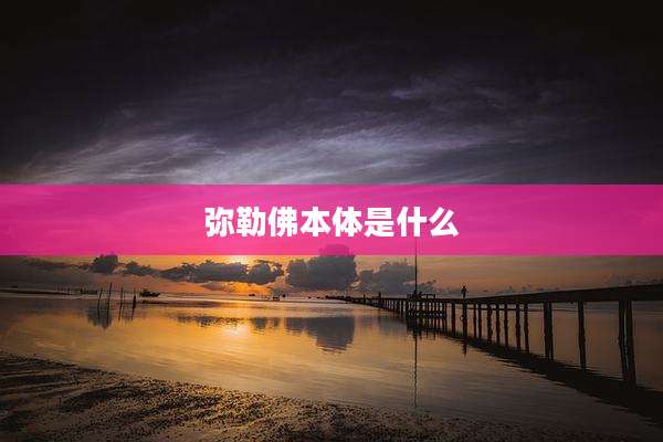 弥勒佛本体是什么