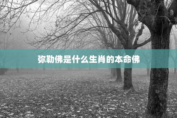 弥勒佛是什么生肖的本命佛