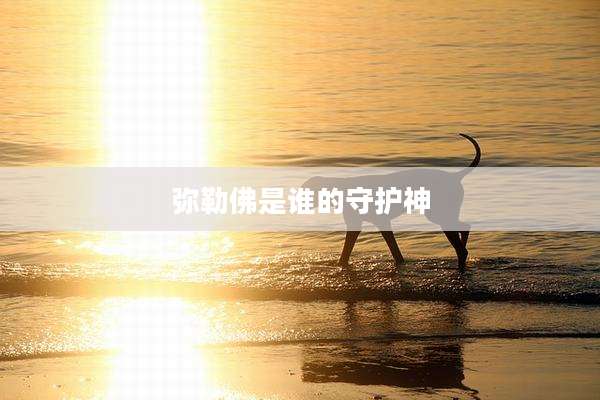 弥勒佛是谁的守护神