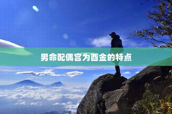男命配偶宫为酉金的特点