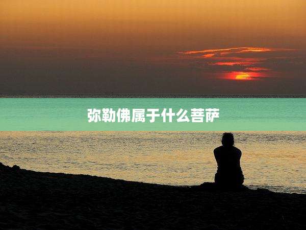 弥勒佛属于什么菩萨