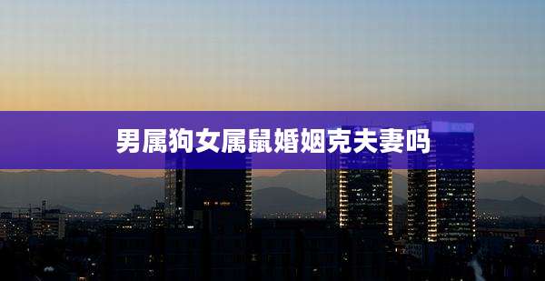 男属狗女属鼠婚姻克夫妻吗