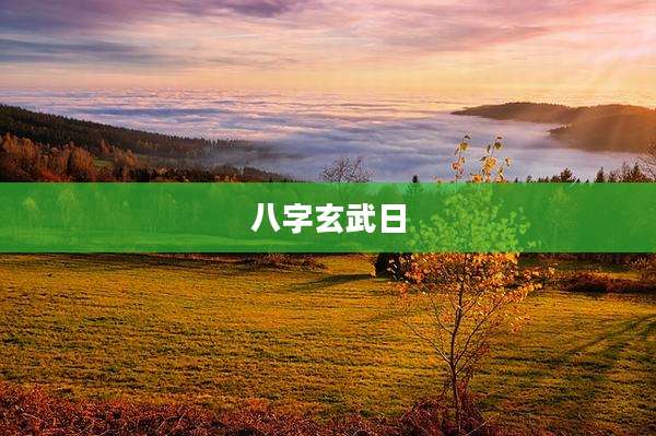 八字玄武日