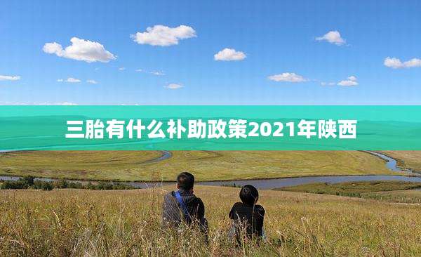 三胎有什么补助政策2021年陕西